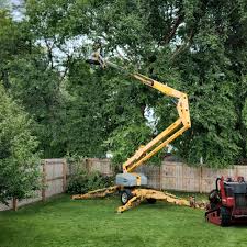 Best Utility Line Clearance  in Oakland, OR