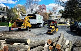 Best Artificial Turf Installation  in Oakland, OR