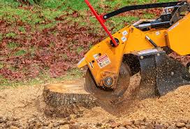 Best Emergency Tree Removal  in Oakland, OR