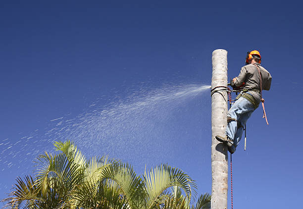 Best Pest Control for Lawns  in Oakland, OR